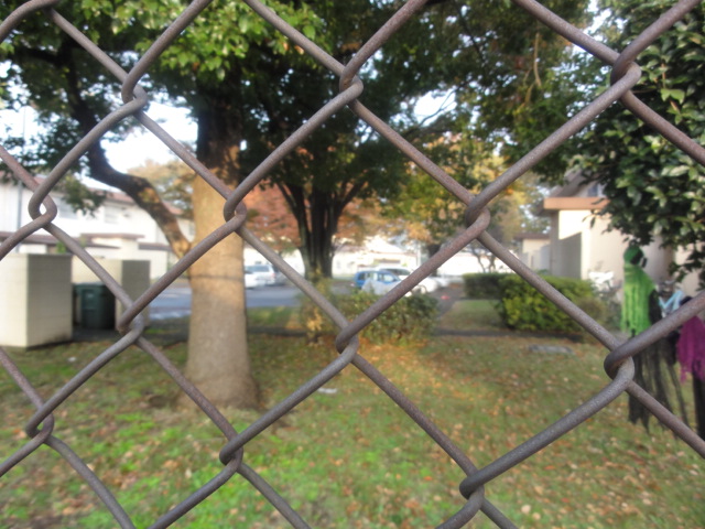f0188254_17363316.jpg