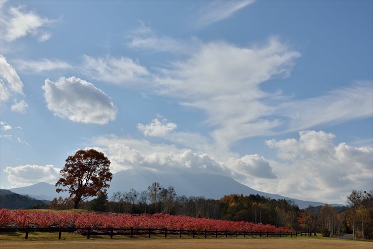 開田高原の紅葉_e0170058_17591015.jpg