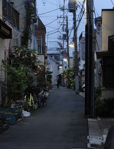 「寺島まちの歴史掘り起こし隊」vol.3 北部地域編_f0156159_2065915.jpg