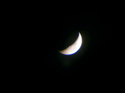 c0180460_3355790.jpg