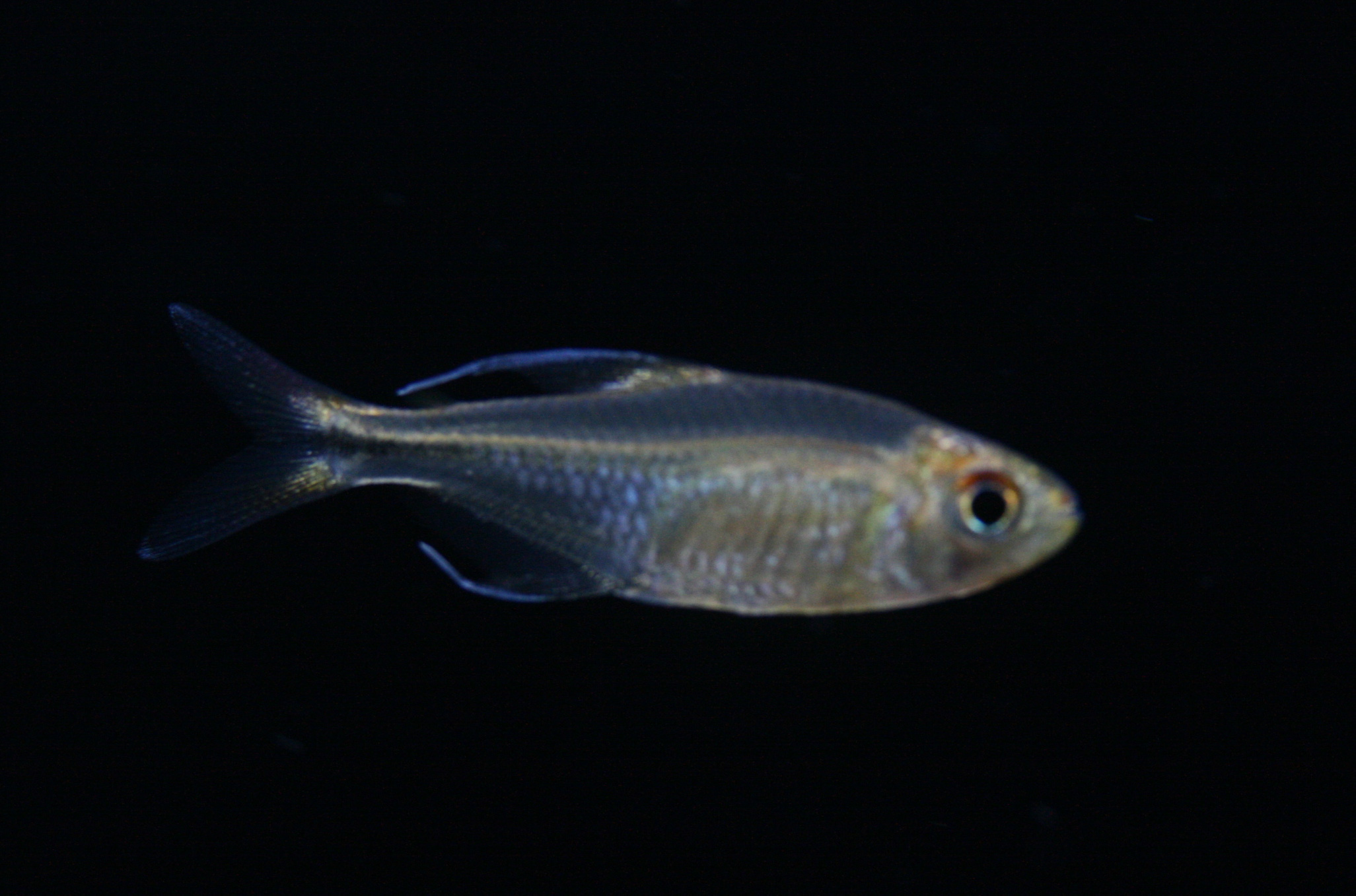 a0162263_17382138.jpg