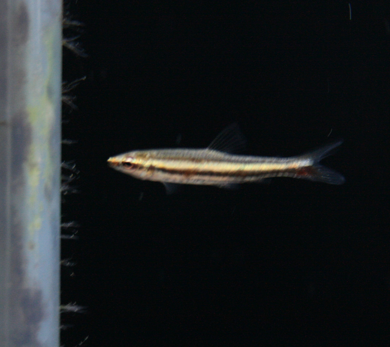 a0162263_17384534.jpg