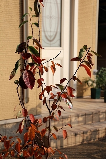 f0272164_2111440.jpg