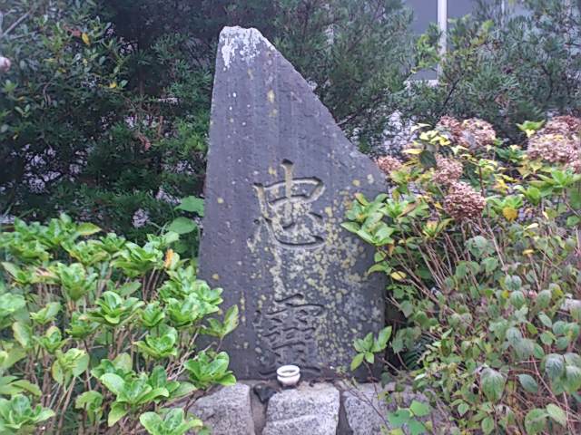 d0177266_194224.jpg