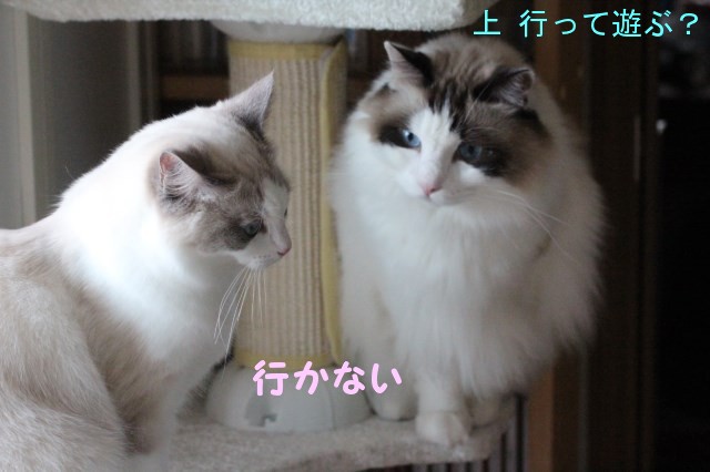 a0285571_2122413.jpg