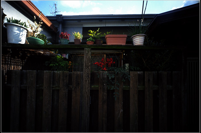 c0168172_2381824.jpg