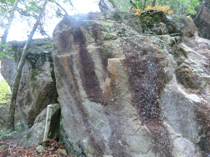 b0185573_20232857.jpg