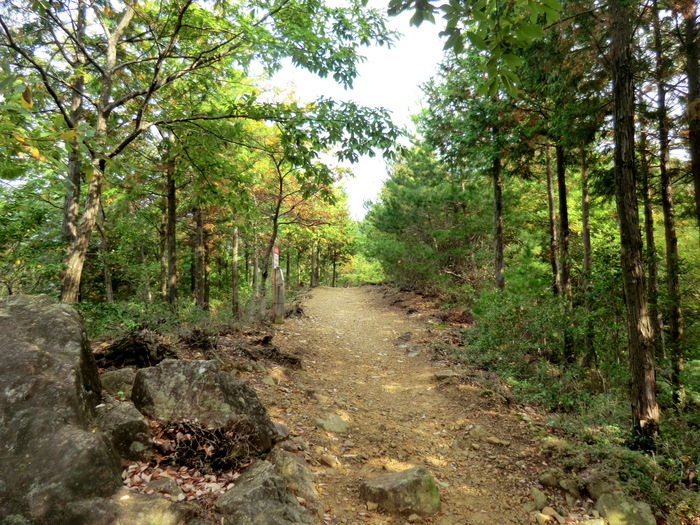 b0185573_2032256.jpg