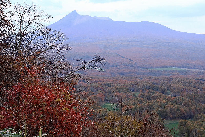 e0213873_19214649.jpg