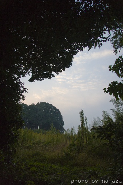 b0280176_2015379.jpg