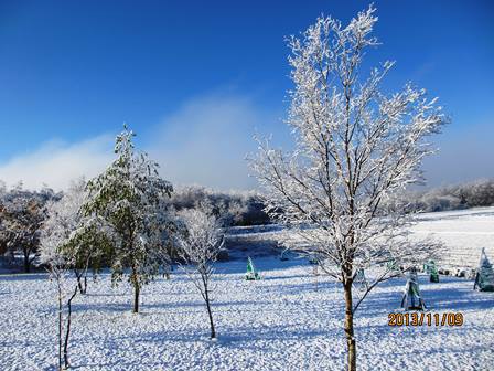 ２０１３年冬、初雪_b0097183_1049218.jpg