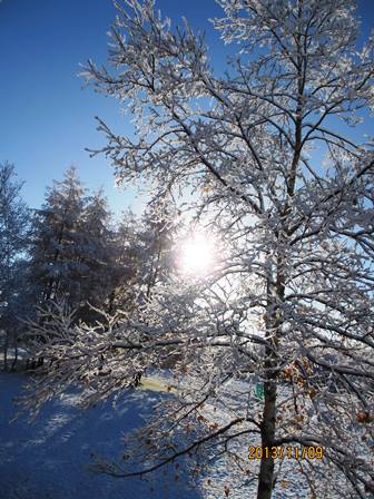 ２０１３年冬、初雪_b0097183_1050124.jpg