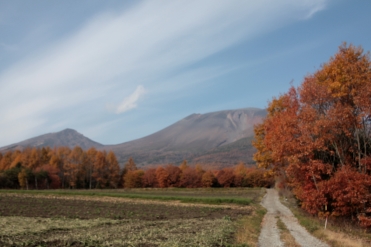 b0207284_21134525.jpg