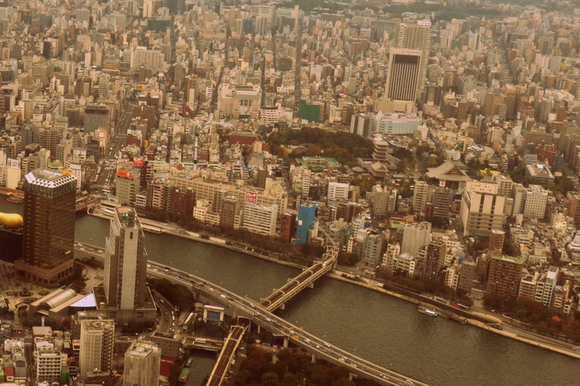 c0188784_2329694.jpg