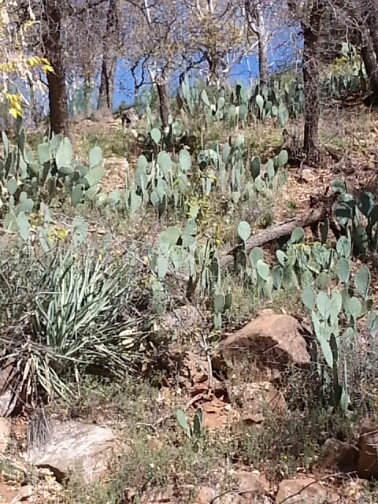 c0096685_2354211.jpg