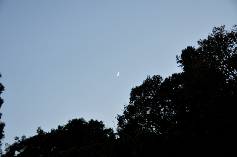山の中の現場。_d0024685_1757523.jpg
