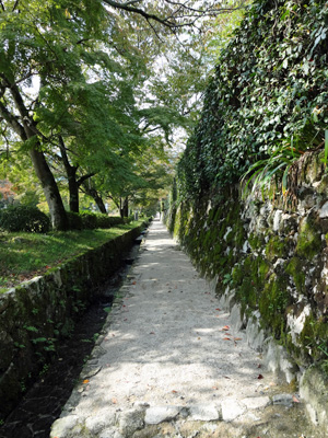 b0019591_14115834.jpg
