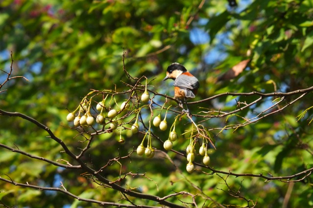 e0070891_20212155.jpg