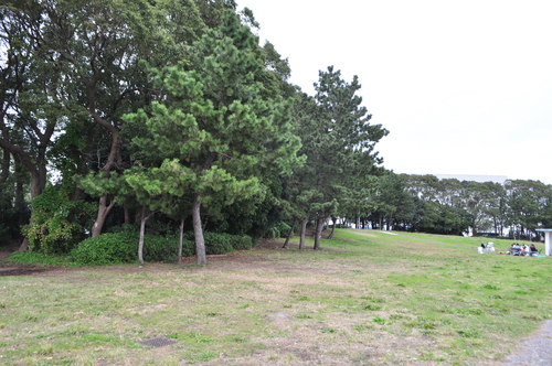 d0226492_2005154.jpg