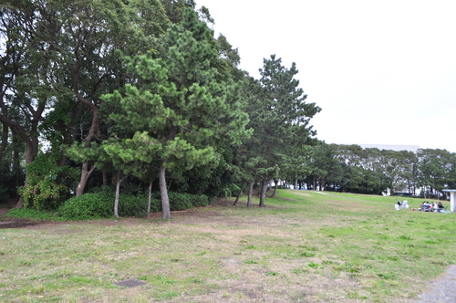 京浜島つばさ公園_d0226492_2005154.jpg