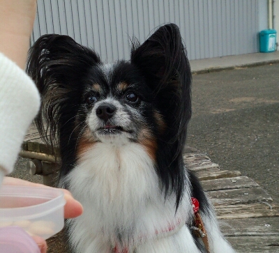 帰省とルークちゃん☆_b0257093_20523735.jpg