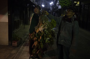 看板(かんばん)!~フボーと植物展 白Ⅱ~_f0226293_8143554.jpg