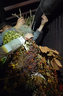 看板(かんばん)!~フボーと植物展 白Ⅱ~_f0226293_814559.jpg