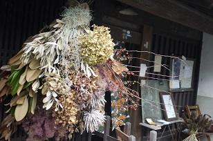 看板(かんばん)!~フボーと植物展 白Ⅱ~_f0226293_821919.jpg