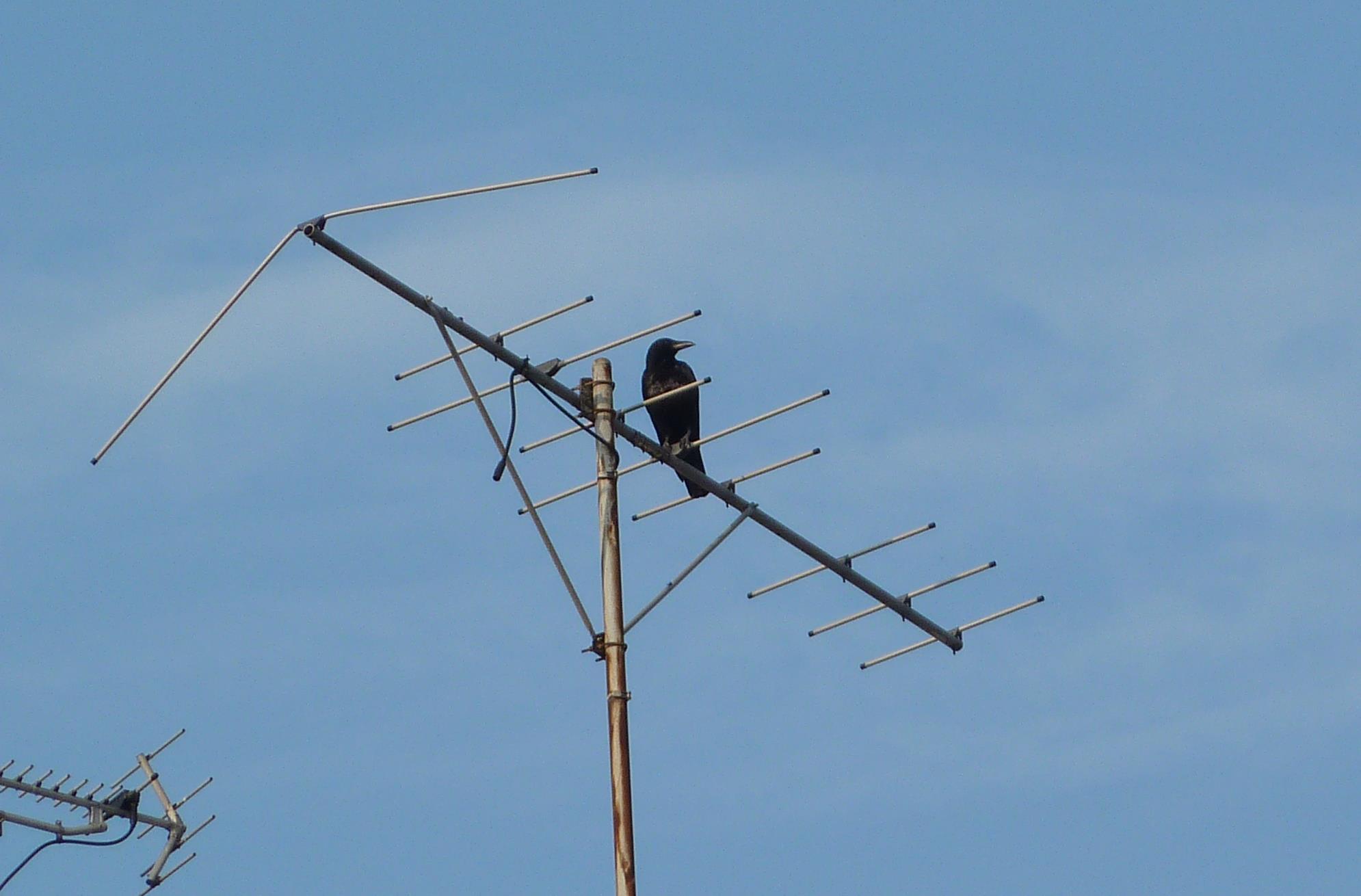 f0166694_21173127.jpg