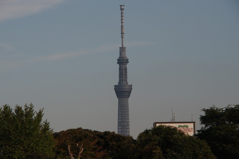 a0293295_8264924.jpg