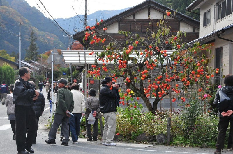 [狸]　荒川贄川縁側展_f0168596_23542092.jpg