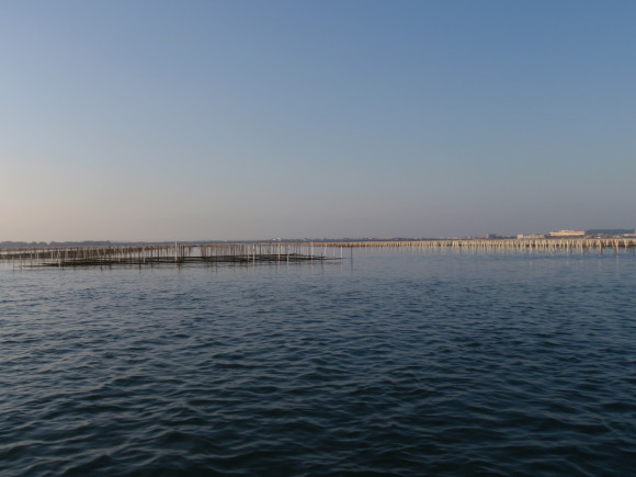 f0213796_10531708.jpg