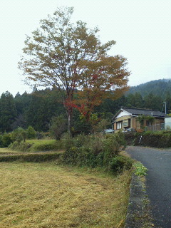 c0272200_1035219.jpg