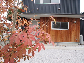 c0039501_851420.jpg