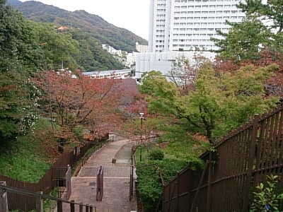 b0153002_0303524.jpg