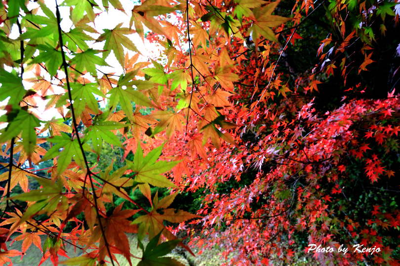 a0097006_22141610.jpg