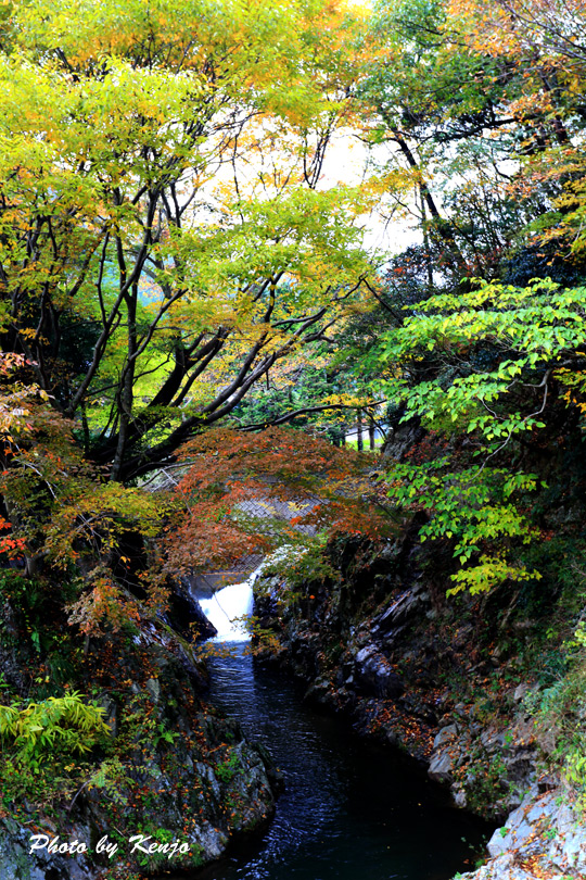 a0097006_22143139.jpg