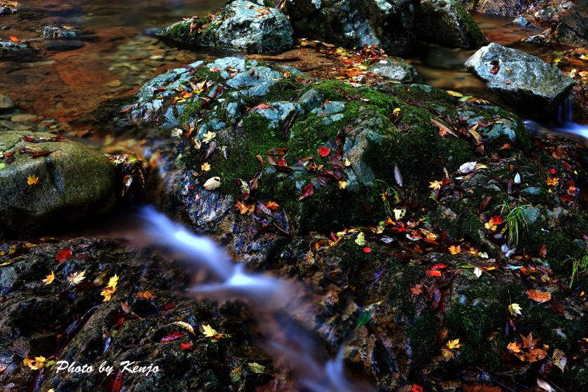 a0097006_2215078.jpg