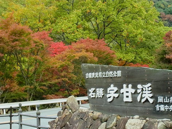 c0205806_1945641.jpg