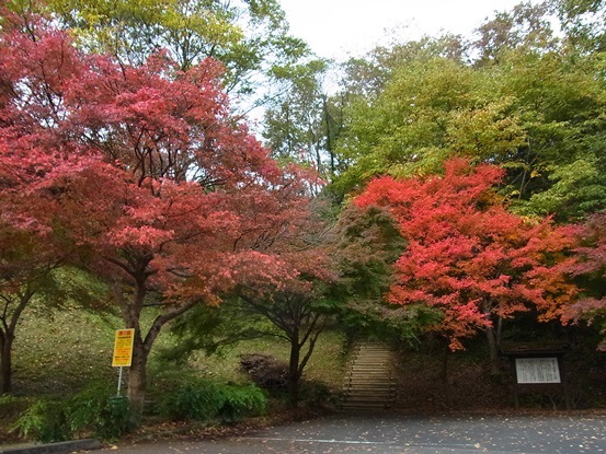 c0205806_1951328.jpg