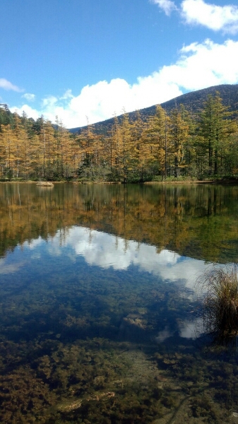 e0001906_7381457.jpg