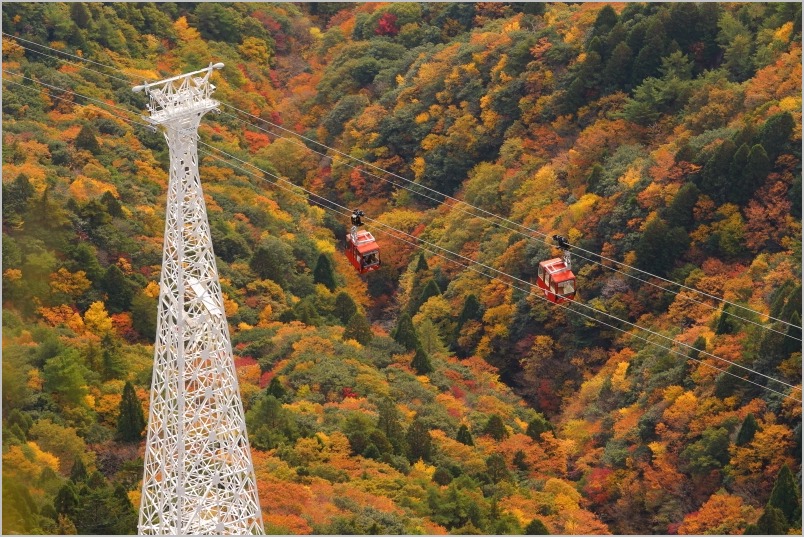 b0180907_2393250.jpg