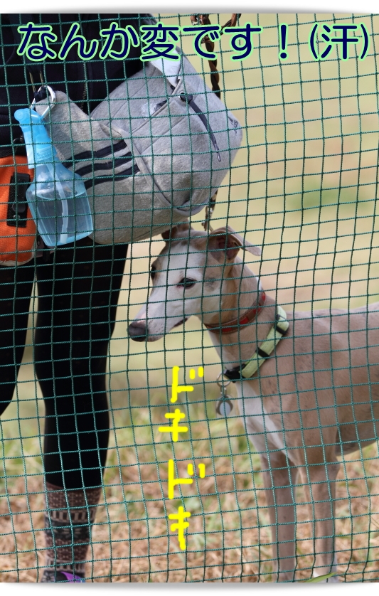 e0100007_8595395.jpg