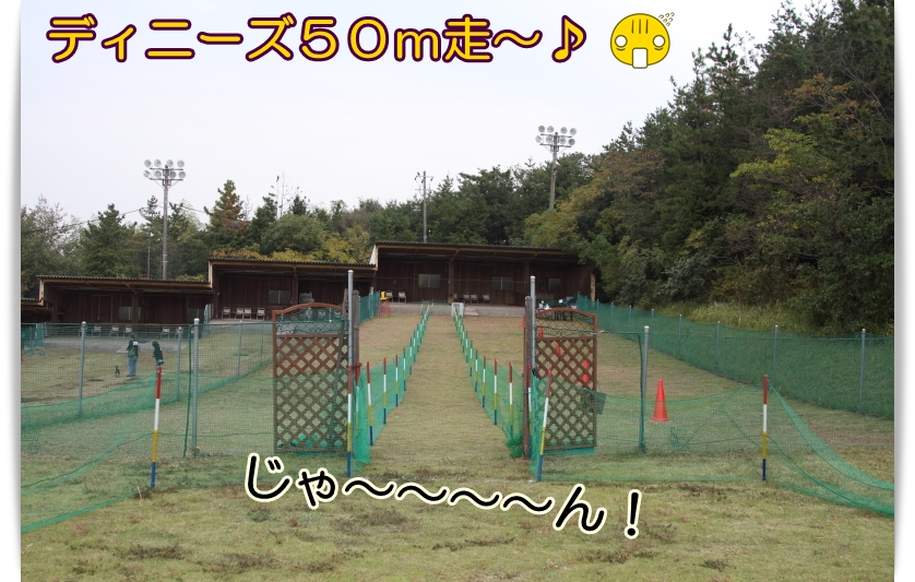e0100007_901685.jpg