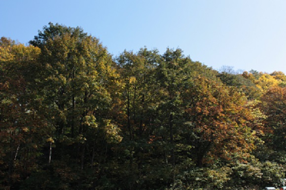 d0001008_16135033.jpg