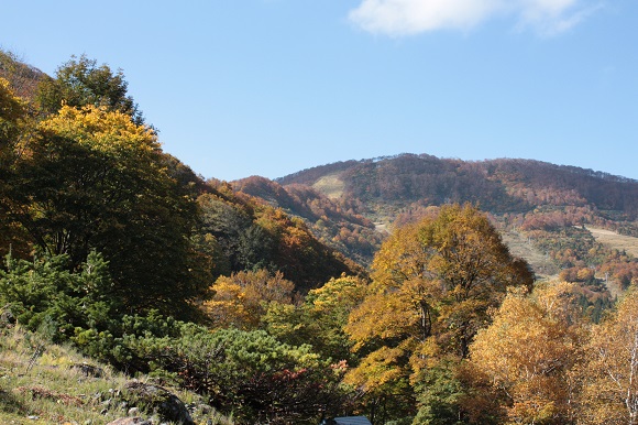 d0001008_16155129.jpg