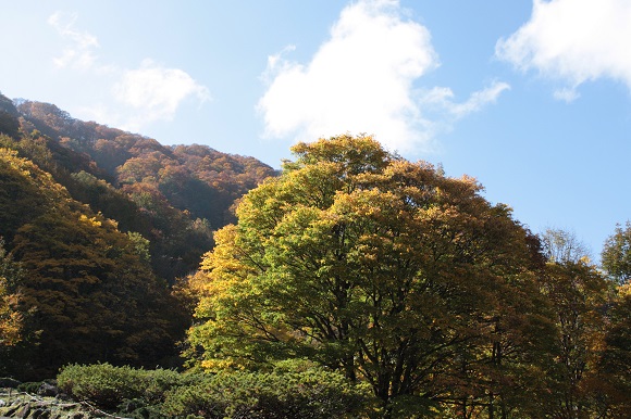 紅葉シーズンの湯沢へ 2_d0001008_17114174.jpg