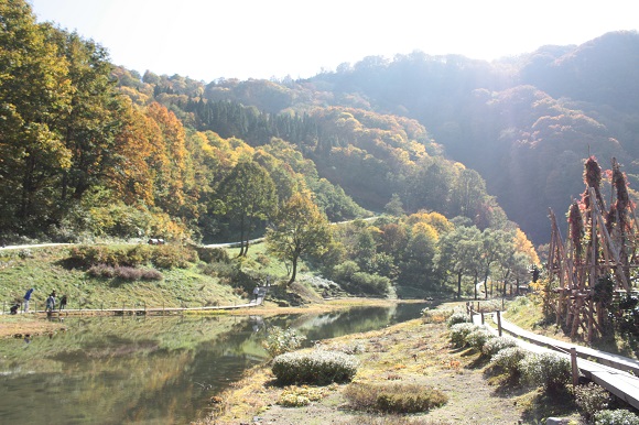 紅葉シーズンの湯沢へ 2_d0001008_17124631.jpg