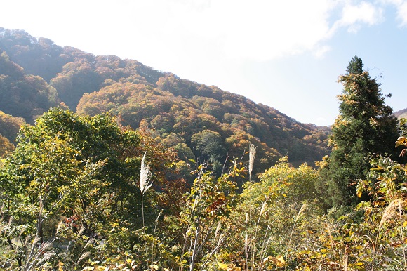d0001008_17125981.jpg