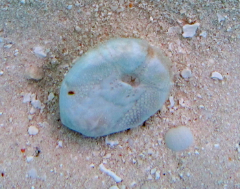 d0298808_15123458.jpg